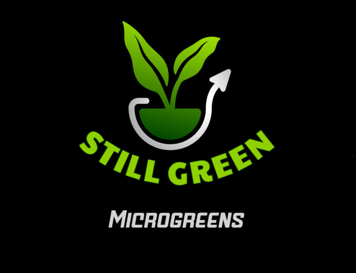 Still Greens 5